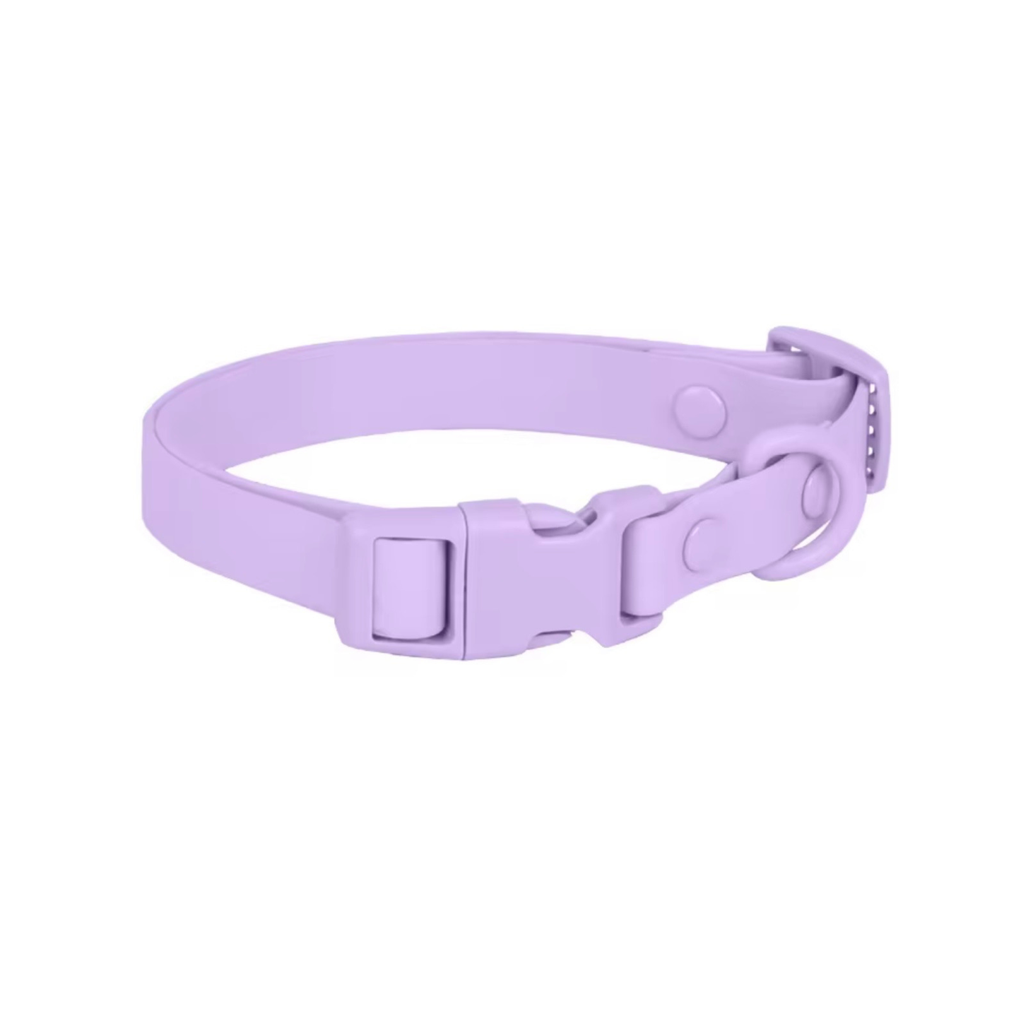 Purple / M
