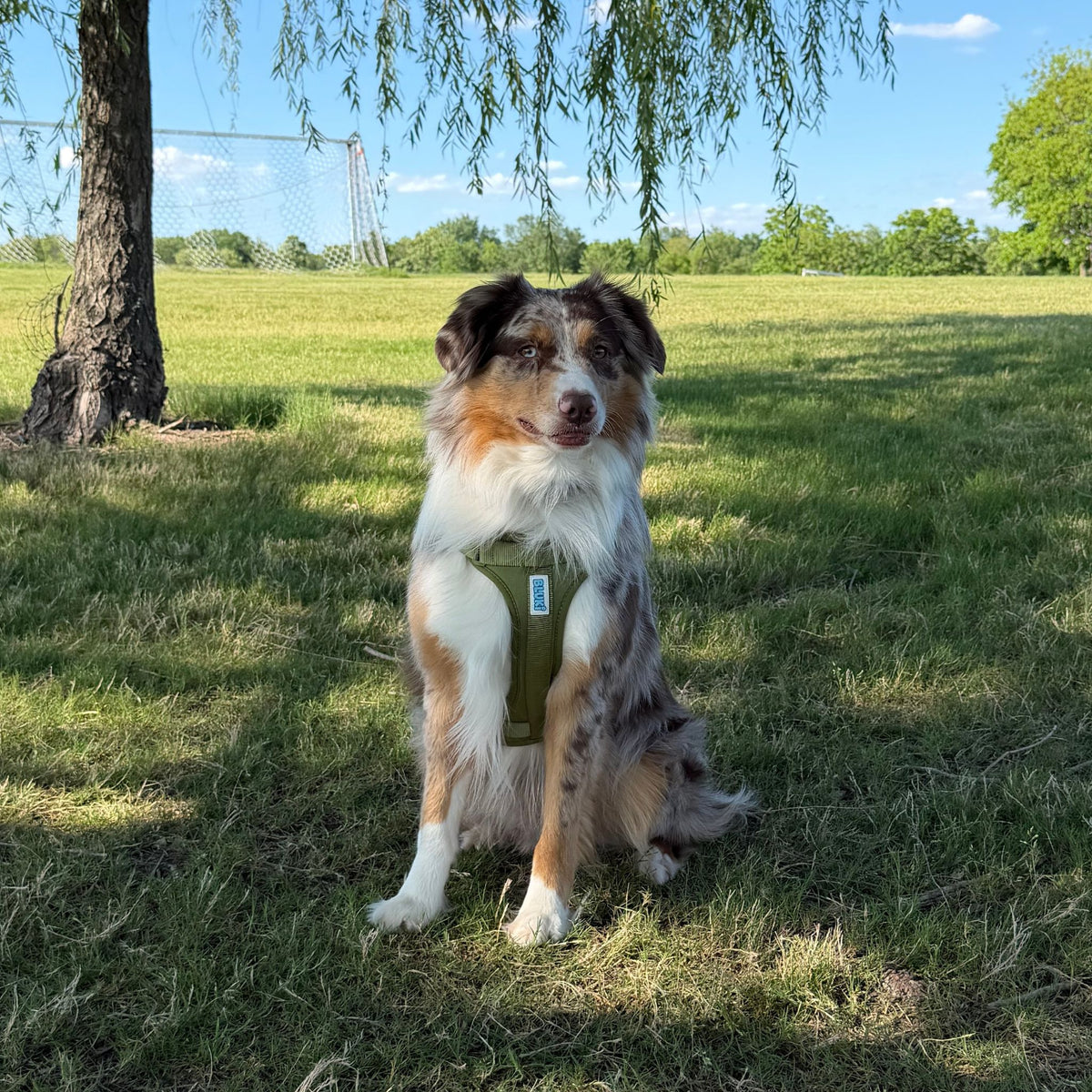 Essential Harness- Olive