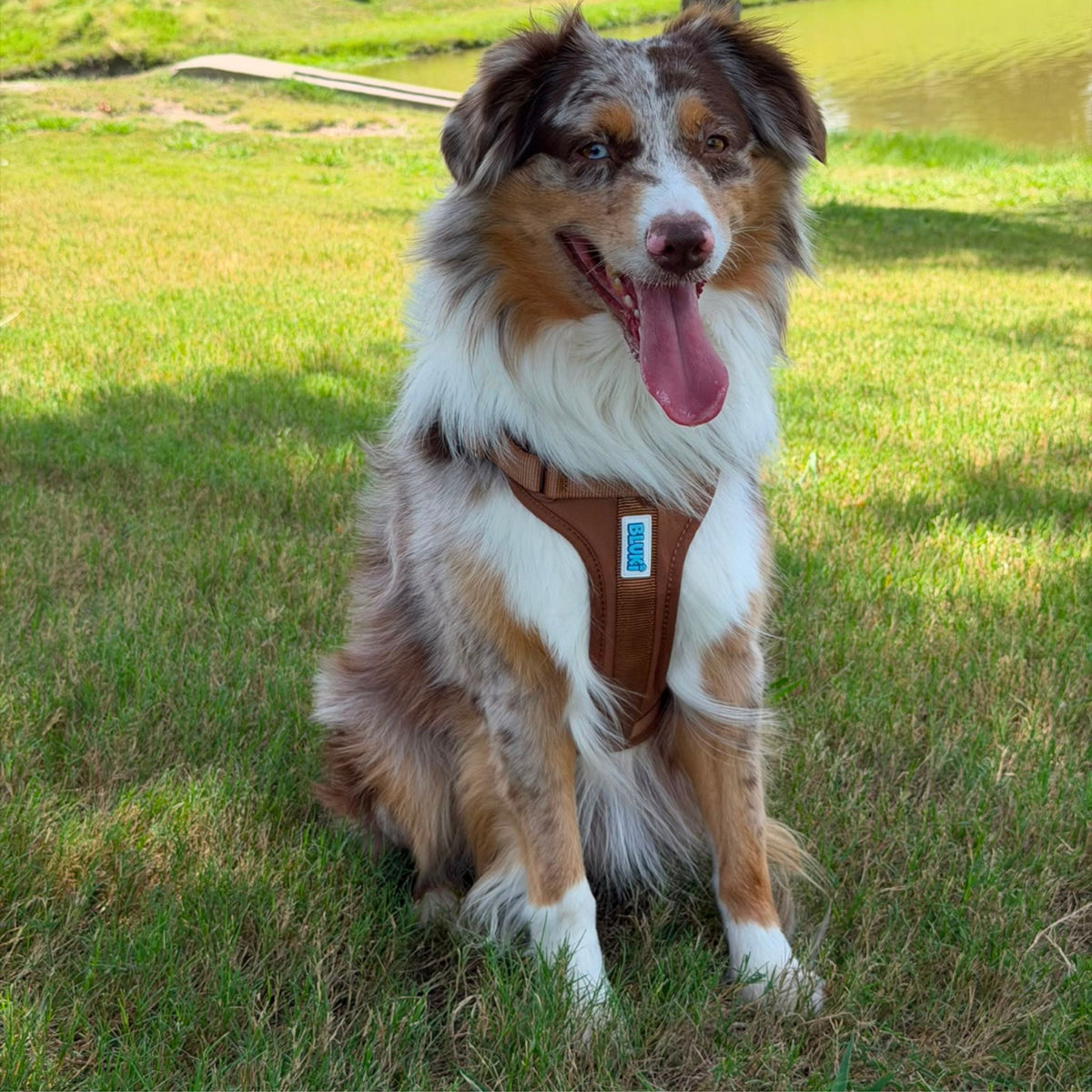 Essential Harness- Clay