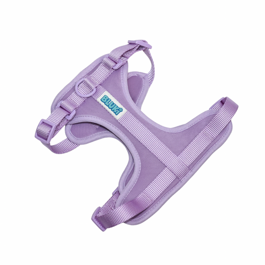 Purple / M