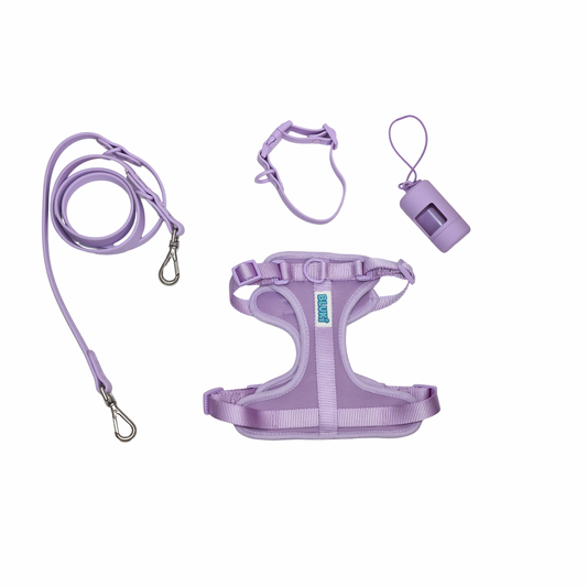 The Essential Walk Set- Lavender