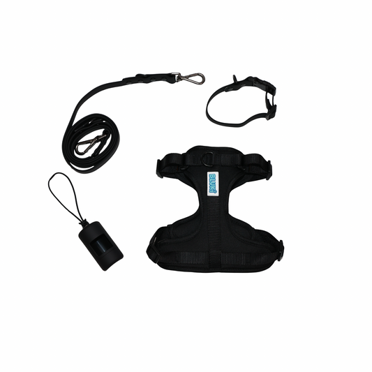 The Essential Walk Set- Black